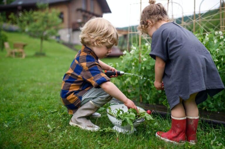 Two small children in vegetable garden, sustainable lifestyle